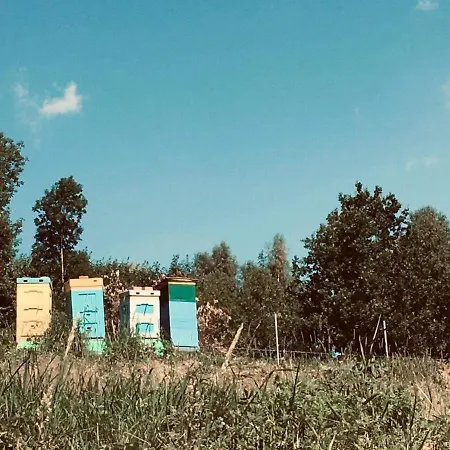 M2 Villa Złoty Stok Eksteriør bilde